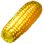 Corn On A Cob