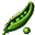 Pea