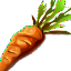 Steamed Carrots